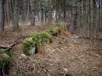 hrad Ungeltberg - Uhnov (hrad) - Zbytky hradu.