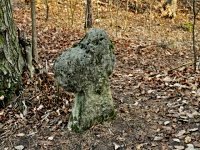 Smr kmen - Sedlec u Kutn Hory (drobn pamtka) - 