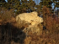 foto Prodn rezervace - Sedlec u Kutn Hory (prodn zajmavost)