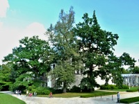 foto Park zámku - Hluboká nad Vltavou (park)