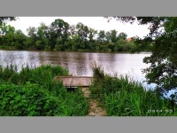 Rcovick rybnk - Rcovice (rybnk) - 