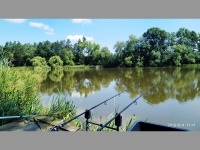 Rcovick rybnk - Rcovice (rybnk) - 