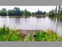 Rcovick rybnk - Rcovice (rybnk) - 