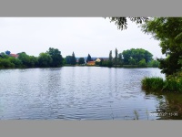 foto Rcovick rybnk - Rcovice (rybnk)