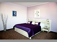 Hotel Mlnsk - Uhersk Hradit (hotel) - Pokoj