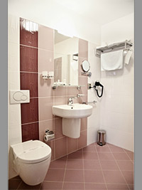 Hotel Mlnsk - Uhersk Hradit (hotel) - Koupelna