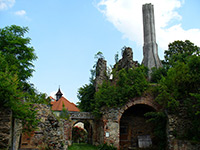 foto Zcenina hradu - Roupov (zcenina hradu)