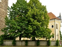
                        Kostel Narození sv. Jana Křtitele - Přibyslav (kostel)