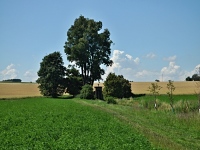 Kaplika sv. Vojtcha-Bylany (kaplika)