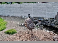 Faunapark - Horn Lipov (zoo) - 