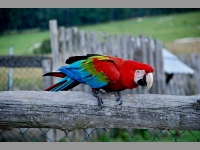 Faunapark - Horn Lipov (zoo) - 