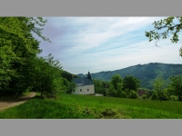 Kostel Panny Marie Snn - Provodov (kostel) - 