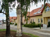 Bo muka - ernovr (Bo muka) - 