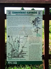 ernovrsk slatinit - ernovr (pr.zajmavost) - 