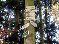 Kartouzka - Dolany (rozcestnk) - 