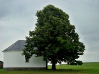 Kaplika - Dvorce (kaplka) - 