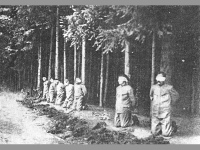 historick foto Lesn hbitov - Nov Bor (hbitov)