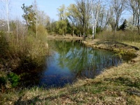 Vojensk rybnky na Min - ernovr (rybnk)