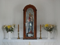 Kaplika - Svinoice (kaplika) - 