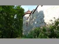 Bouzov (hrad) - 