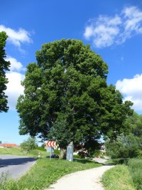 
                        Kaplika - Bohuslavice (kaplika)