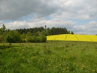 pulka (rozhledna) - 
