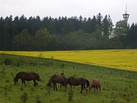 pulka (rozhledna) - 