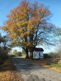 Kaplika u Svat Anny - Mutnn (kaplika)