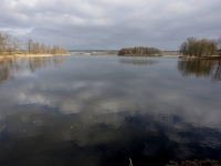 Velk eick rybnk - Kardaova eice (rybnk)  - 