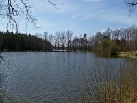 Hamr malý - Dolní Žďár (rybník)