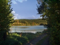 Mohelnický rybník (rybník)