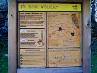 Sov voliry - Borov Lada (zologick zahrada) - 