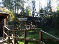 Sov voliry - Borov Lada (zologick zahrada) - 