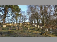 Židovský hřbitov - Šafov (hřbitov)