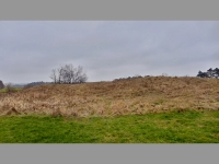 Lesky (zanikl tvrz) - 