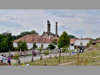 Daleice (pivovar) - 