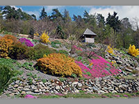 
                        Arboretum Maku Piku - Paseka (arboretum)