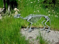 ZOO Ohrada - Hlubok nad Vltavou (zoo) - 