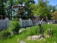 ZOO Ohrada - Hlubok nad Vltavou (zoo) - 