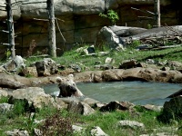 ZOO Ohrada - Hlubok nad Vltavou (zoo) - 