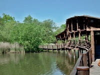ZOO Ohrada - Hlubok nad Vltavou (zoo) - 