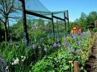 ZOO Ohrada - Hlubok nad Vltavou (zoo) - 