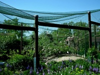 ZOO Ohrada - Hlubok nad Vltavou (zoo) - 