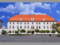 Tn nad Vltavou (zmek) - 
