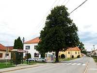 Malhostovice (obec) - Nves