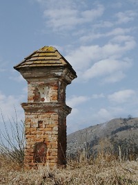 
                        Bo muka - Pavlov (bo muka)