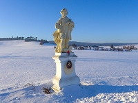 Socha sv. Vendelna - Bolkovice (socha) - 