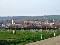 Starovice (obec)