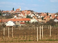 Vrbice (obec) - Vrbice 