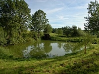 Bousn (obec) - Bousn rybnk